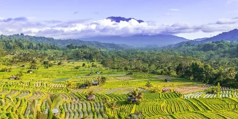 Indonesia: Bali essenziale, dal nord a Ubud e al mare, Indonesia