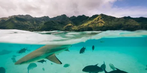 French Polynesia: the atolls of Rangiroa and Fakarava, French Polynesia