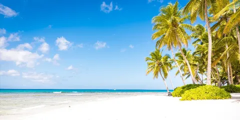Dominican Republic: a sea-view suite in Bávaro and VIP excursions, Dominican Republic