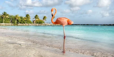 Aruba, Curaçao e Bonaire: le tre isole ABC dei Caraibi olandesi, Aruba